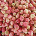 2016 New Crop Fresh Red Gala Apple